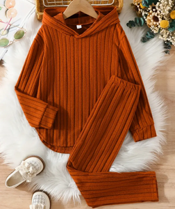 Girls 2 PC Casual Ribbed Hoodies and Leggings